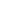 vis1.png
